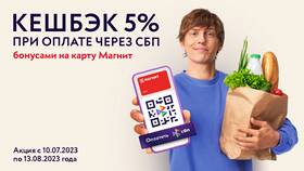 Как оплатить с ЮMoney через СБП