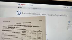 Как получить справку о не трудоустройстве через Госуслуги в Автодоктор