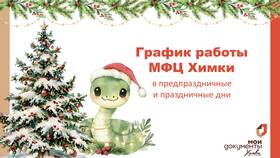 Как работает МФЦ в праздничные дни