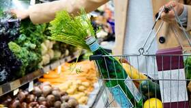 Как сократить расходы на продукты питания в Автодоктор
