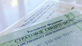 Номер СНИЛС: что означают цифры в Автодоктор