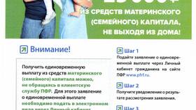 Справка о неработающем статусе из Пенсионного фонда в Автодоктор