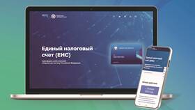 Сумма положительного сальдо ЕНС: что это