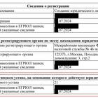 Как получить устав ООО в электронном виде