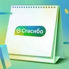Как проверить бонусы СберСпасибо