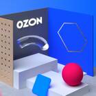 ПВЗ Ozon закрыт: что делать