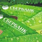 Сроки зачисления переводов на карту Сбербанка