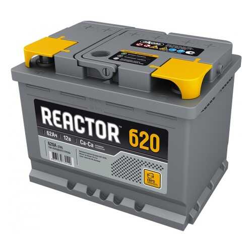 Аккумулятор REACTOR 62 А/ч обратная R+ EN 620A 242x175x190 6CT-62.0 в Автодоктор