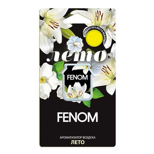 Автомобильный ароматизатор FENOM FN513 в Автодоктор
