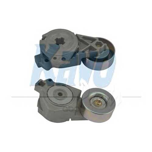 Ролик автомобильный KaVo Parts DTP5504 в Автодоктор