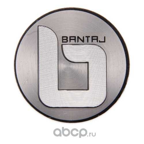 Колпак литого диска 56,5x51,5x12x56 Bantaj BA00-002 в Автодок