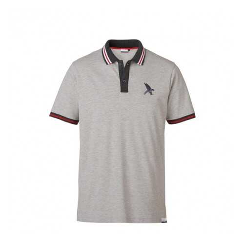 Поло gray melange, 95% cotton, 5% elastane Black Falcon PO-4001-18-L в Автодоктор